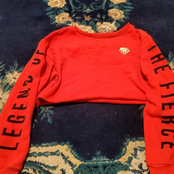 FYF Tops - Crop Top long sleeved size small